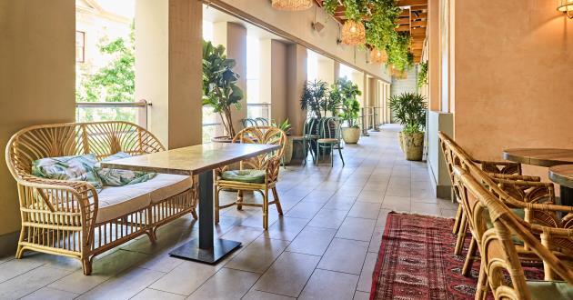 The Terrace