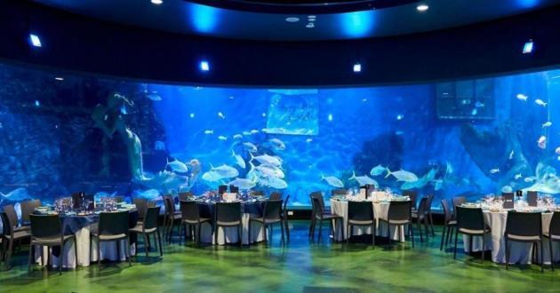 Oceanarium