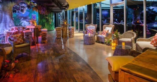 Rainforest Themed Upper Deck