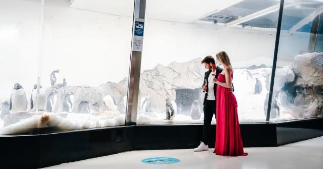 Antarctica Function Room