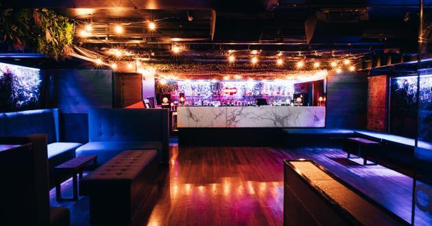 The Basement Lounge