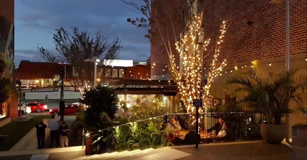 Main Bar Living Wall
