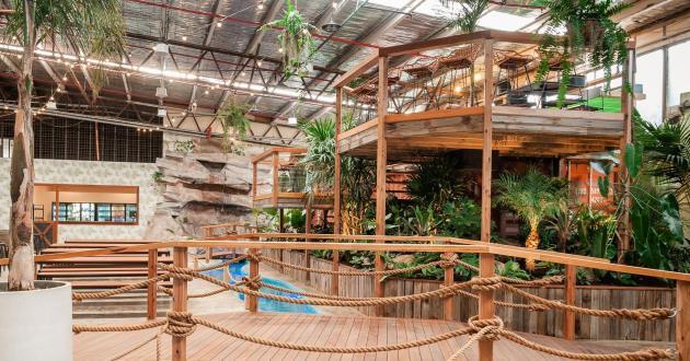 Jungle Deck