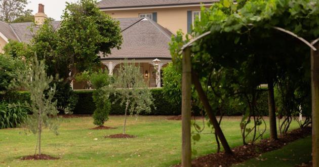 The Vineyard