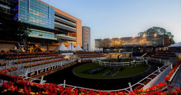 Theatre of the Horse