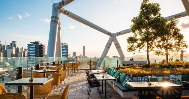 The Terrace