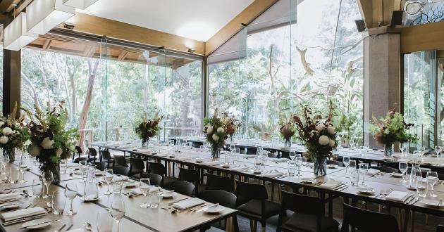 Rainforest Room