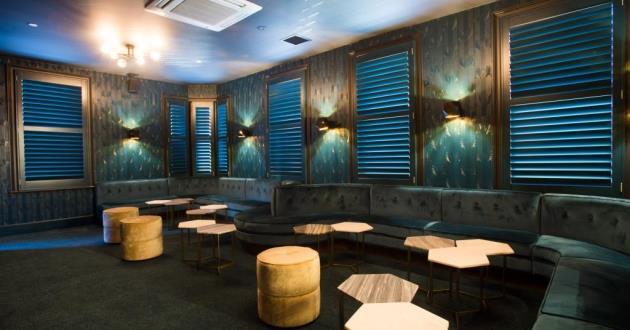 Elegant, Private VIP Room