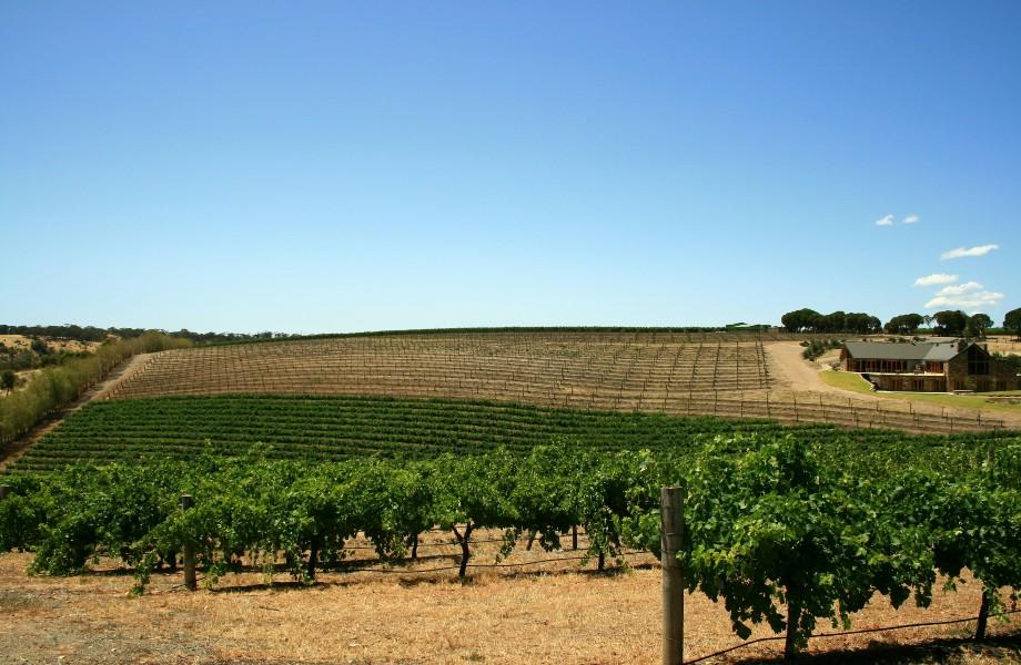 Top Barossa Valley Venues VenueNow
