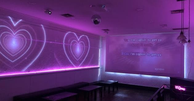 WHOLE venue - BYO Karaoke Bar, DJ, dance floor (all-ages with guardian)
