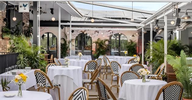 Rooftop Booths & Courtyard Combined