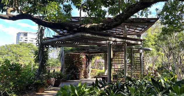 Spectacle Garden Pergola