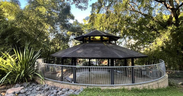 Weeping Fig Pagoda