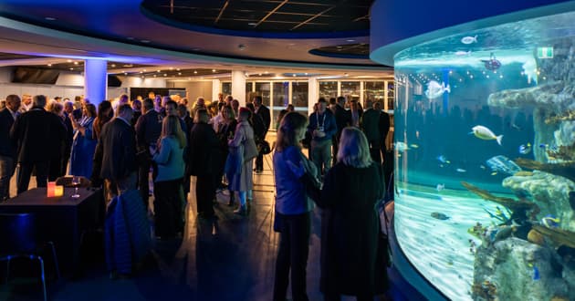Coral Atoll - Awards & Gala Dinners