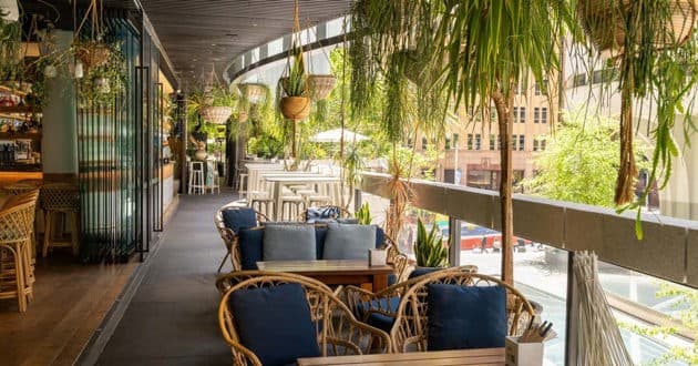 Palm Bar