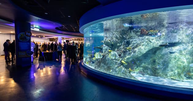 Coral Atoll - Christmas Parties & End of Year Events