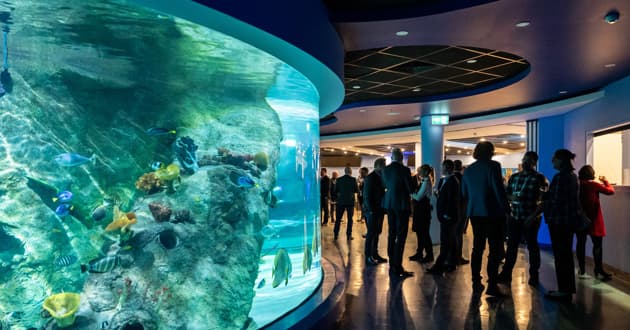 Coral Atoll Function Room - Cocktail & Networking Events