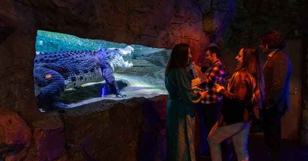 Rainforest - Cocktail & Networking Events