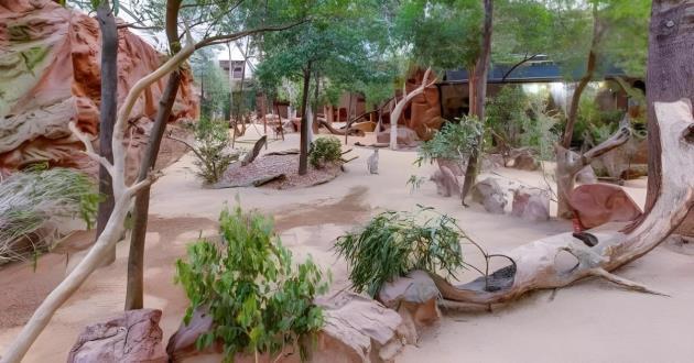 Kangaroo Walkabout Area