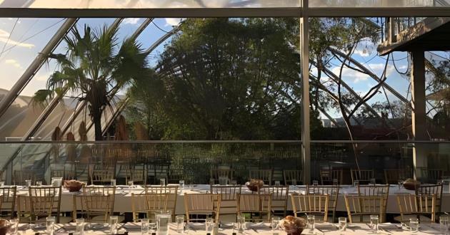 Australian Koala Rooftop Event Space