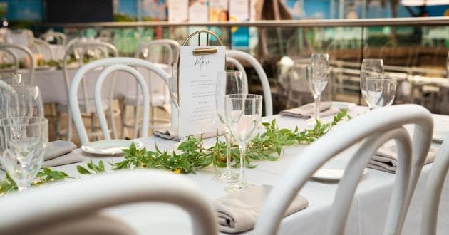 Australian Koala Rooftop Event Space