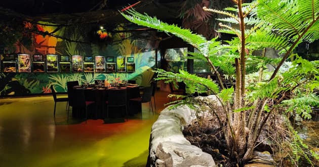 Rainforest Themed Upper Deck