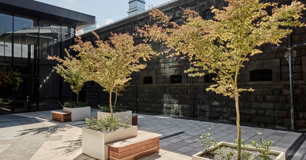 Arrival Courtyard Garden
