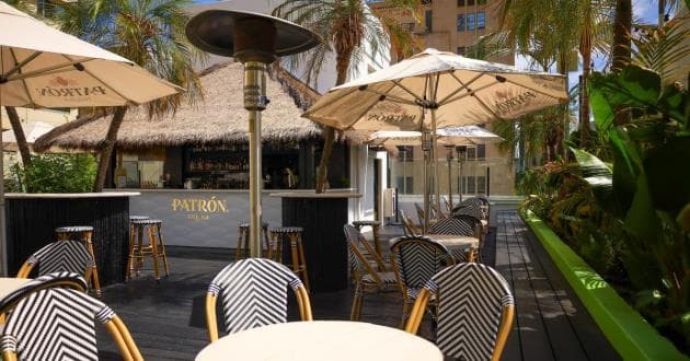 Palmz Rooftop Bar - Shared