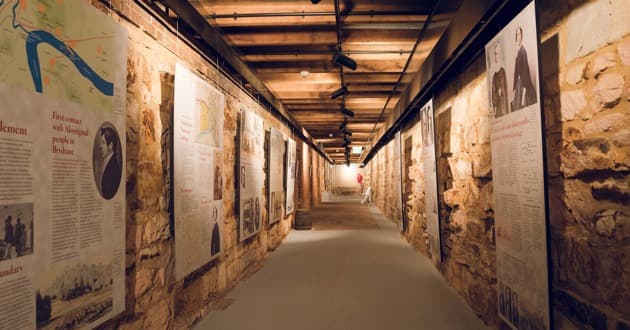 The Cellar
