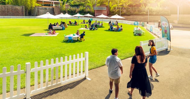 Celebration Lawn