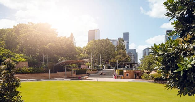 Celebration Lawn