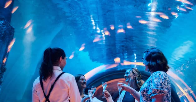 Oceanarium - Christmas Parties & EOFY