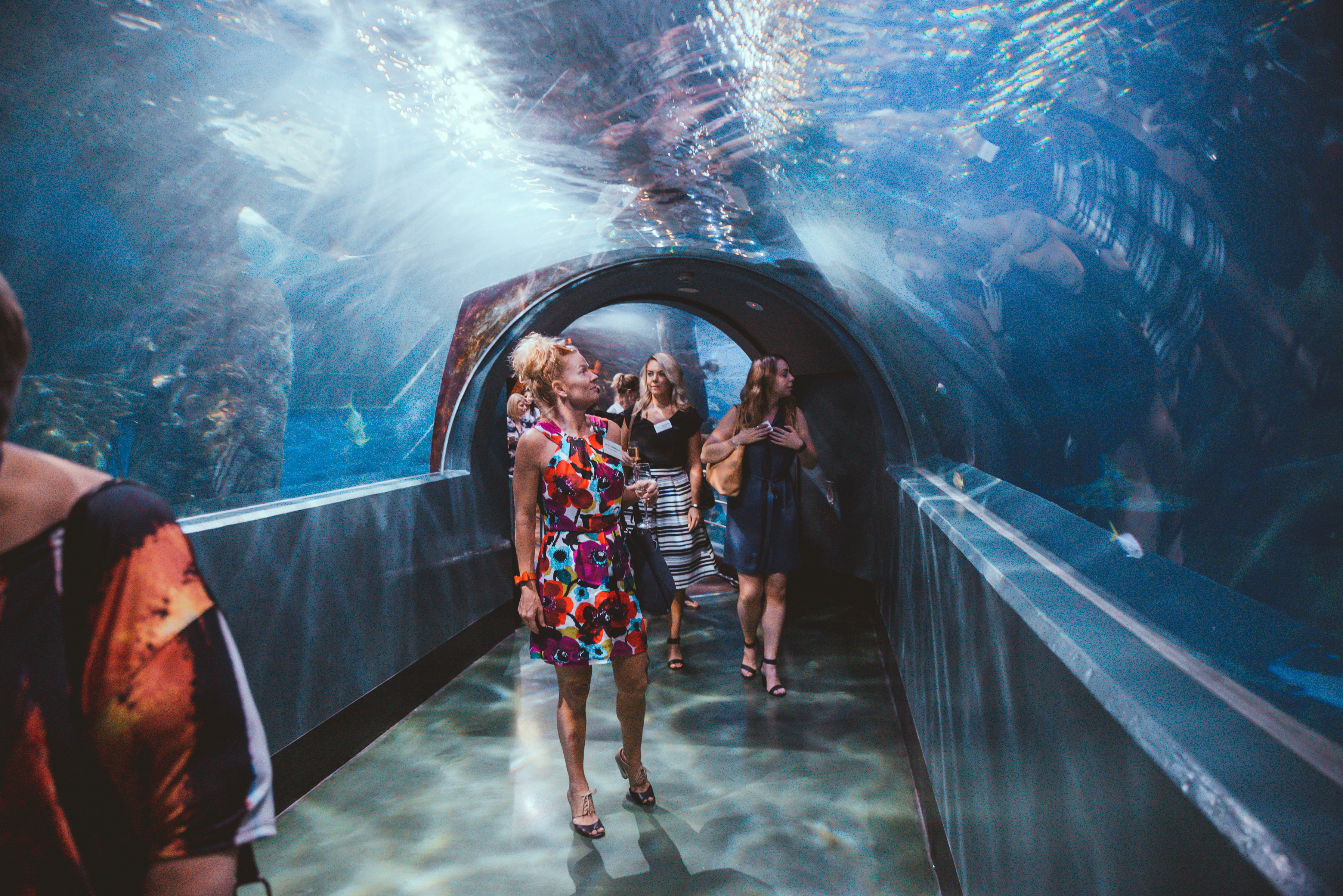 Canapés Under The Sea Celebrating At Melbourne Aquarium Venuenow 