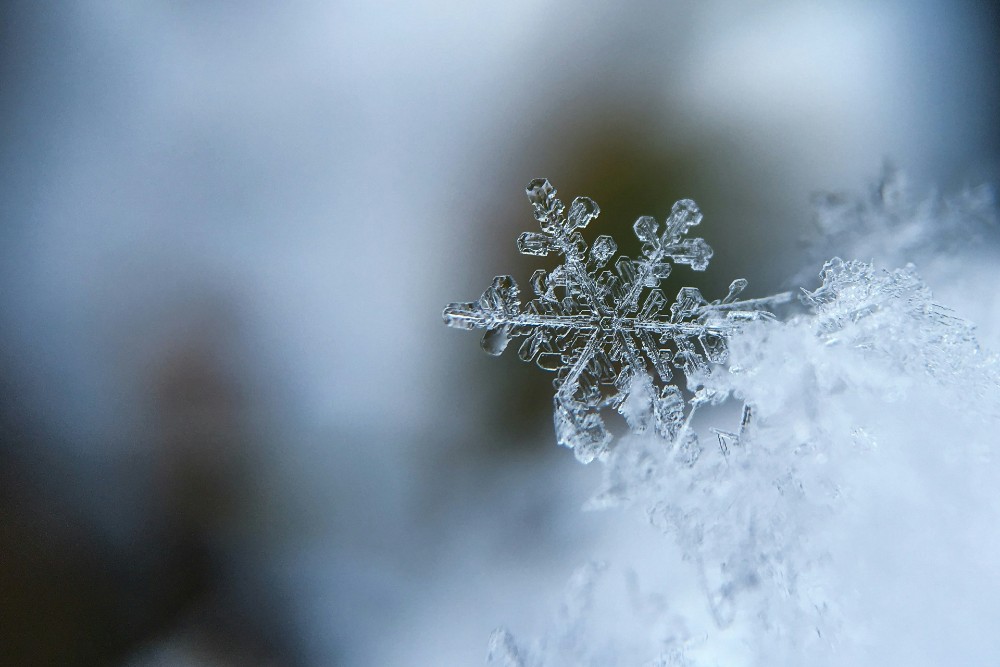 winter