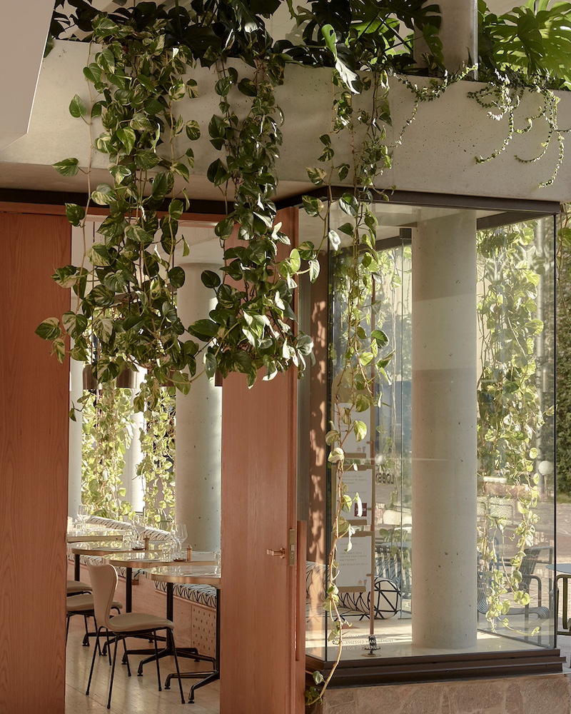 Brisbane - The Calile Hotel