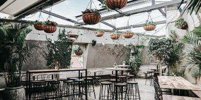 Elm Rooftop Bar at Taphouse Darlinghurst